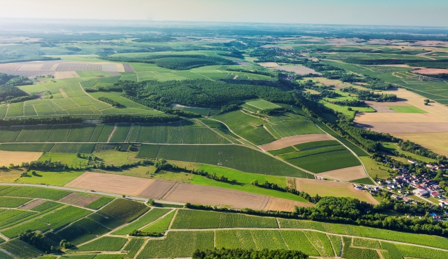 博桦/Beauroy, 特洛埃斯姆/Troesmes